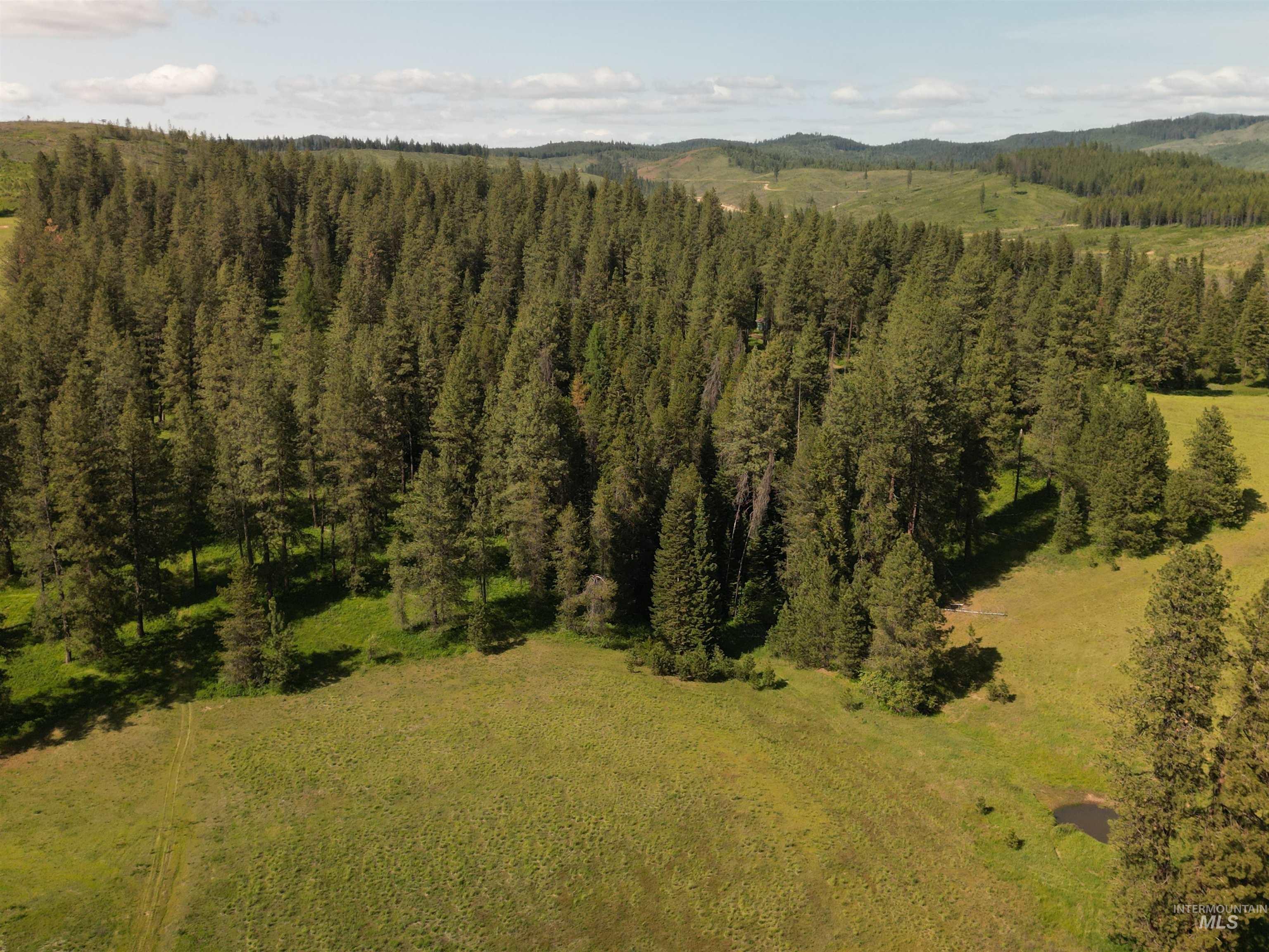 000 Hwy 9 (parcel 3) Property Photo 4