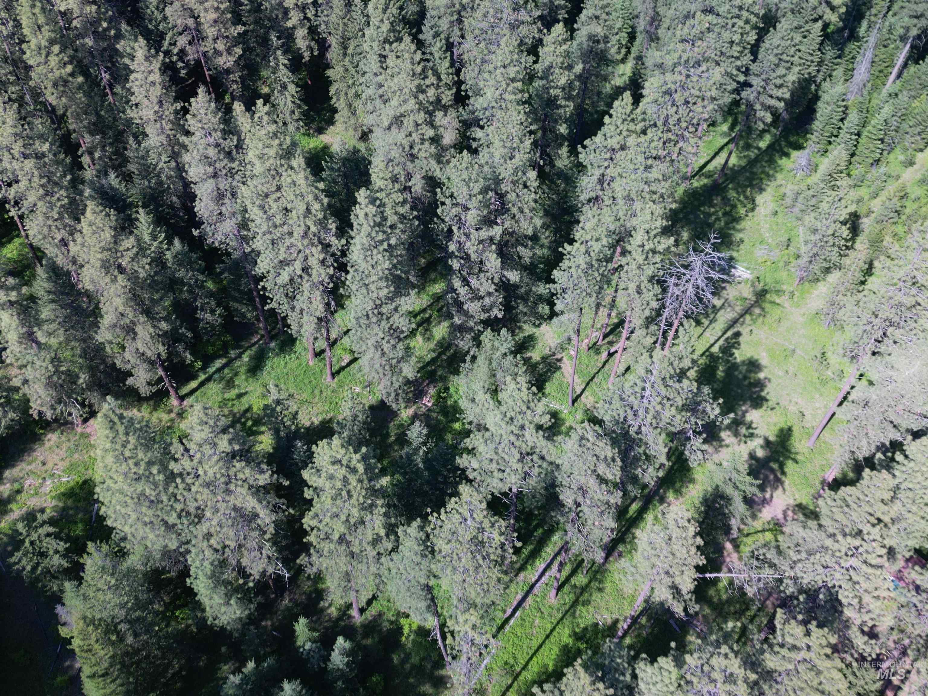 000 Hwy 9 (parcel 3) Property Photo 9