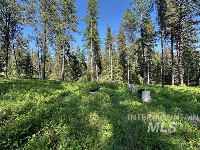 000 Hwy 9 (parcel 3) Property Photo 25