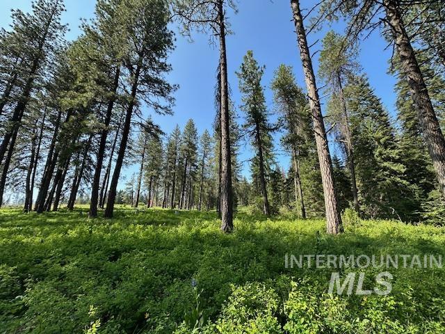 000 Hwy 9 (parcel 3) Property Photo 26
