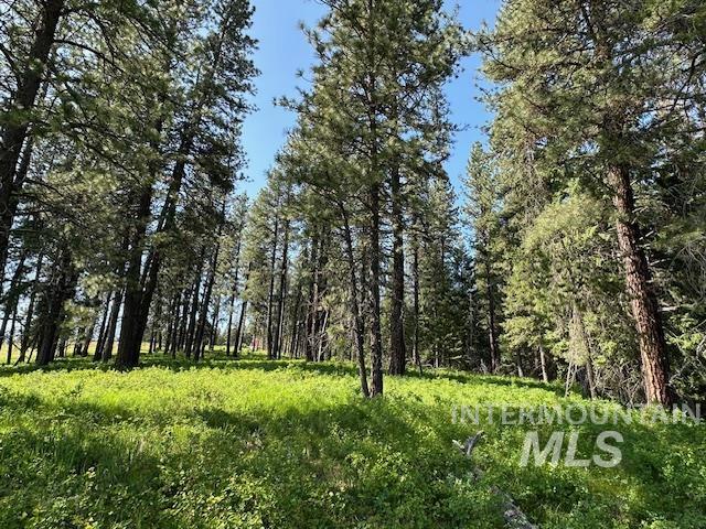 000 Hwy 9 (parcel 3) Property Photo 27