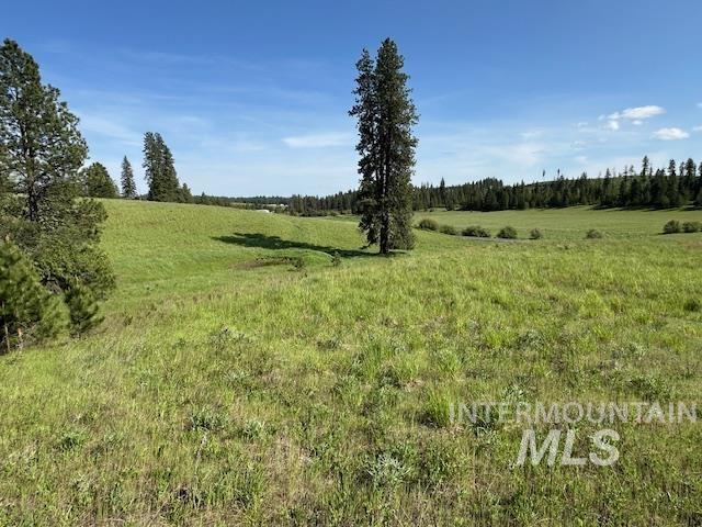 000 Hwy 9 (parcel 3) Property Photo 28