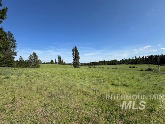 000 Hwy 9 (parcel 3) Property Photo 31