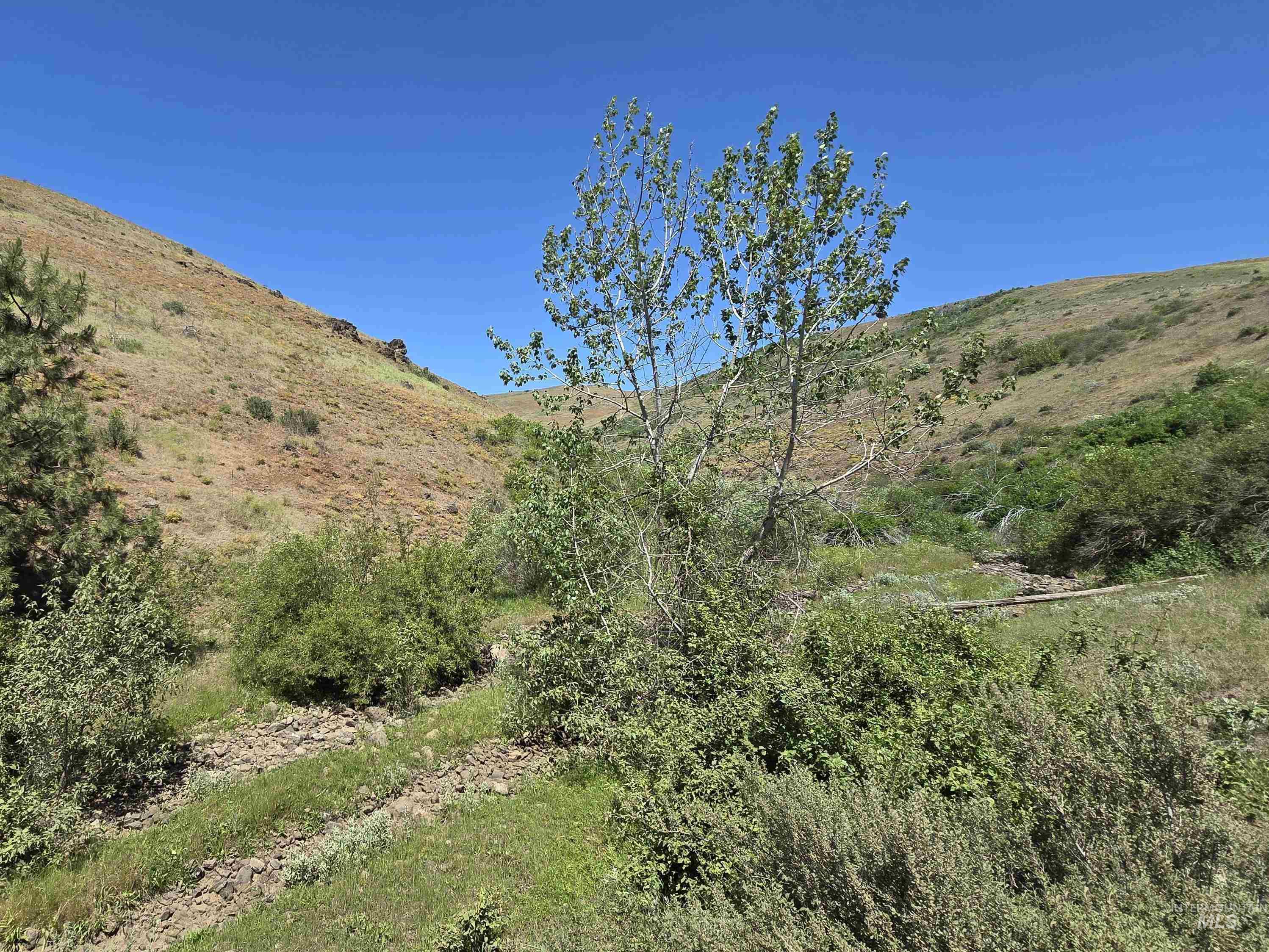 Tbd Middle Fork Road Property Photo 28