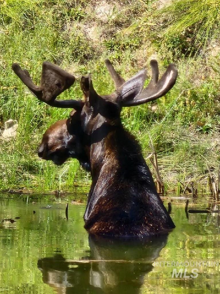 600 Clear Creek Rd Property Photo 41