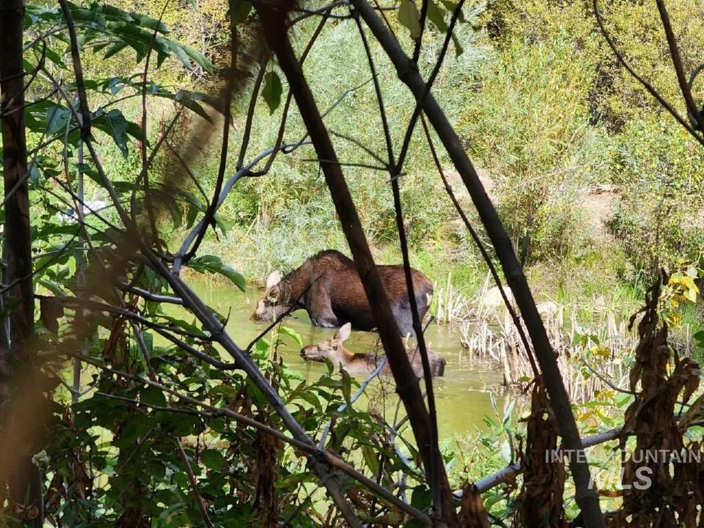 600 Clear Creek Rd Property Photo 42