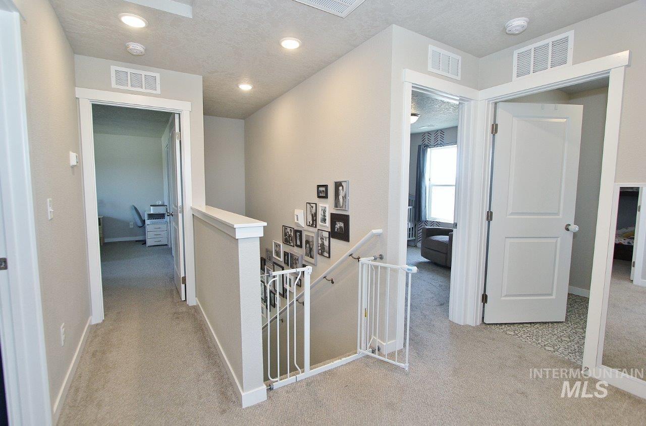 10382 Scout Ridge St Property Photo 14