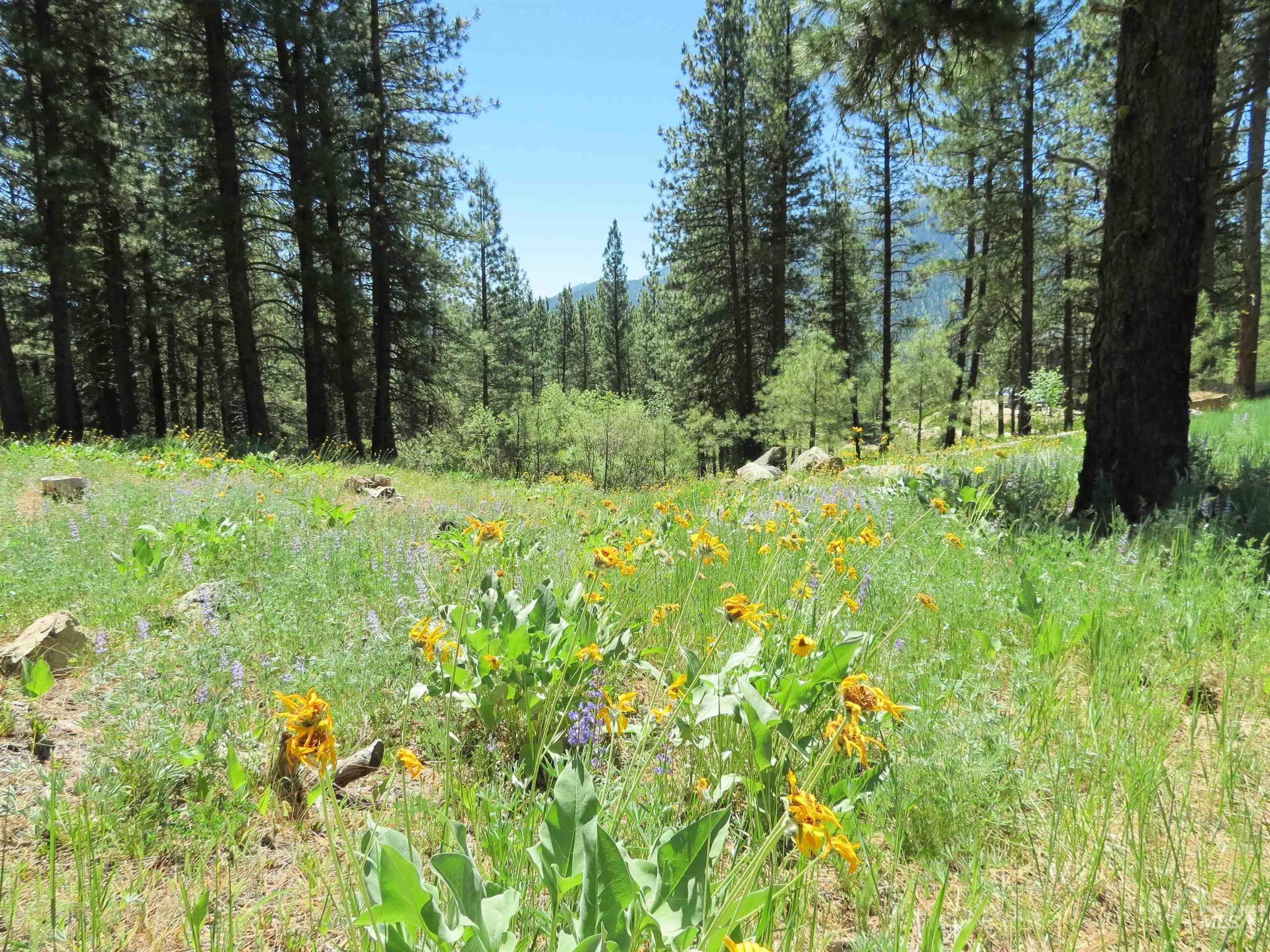 Lot 83 White Pine Dr Property Photo 1