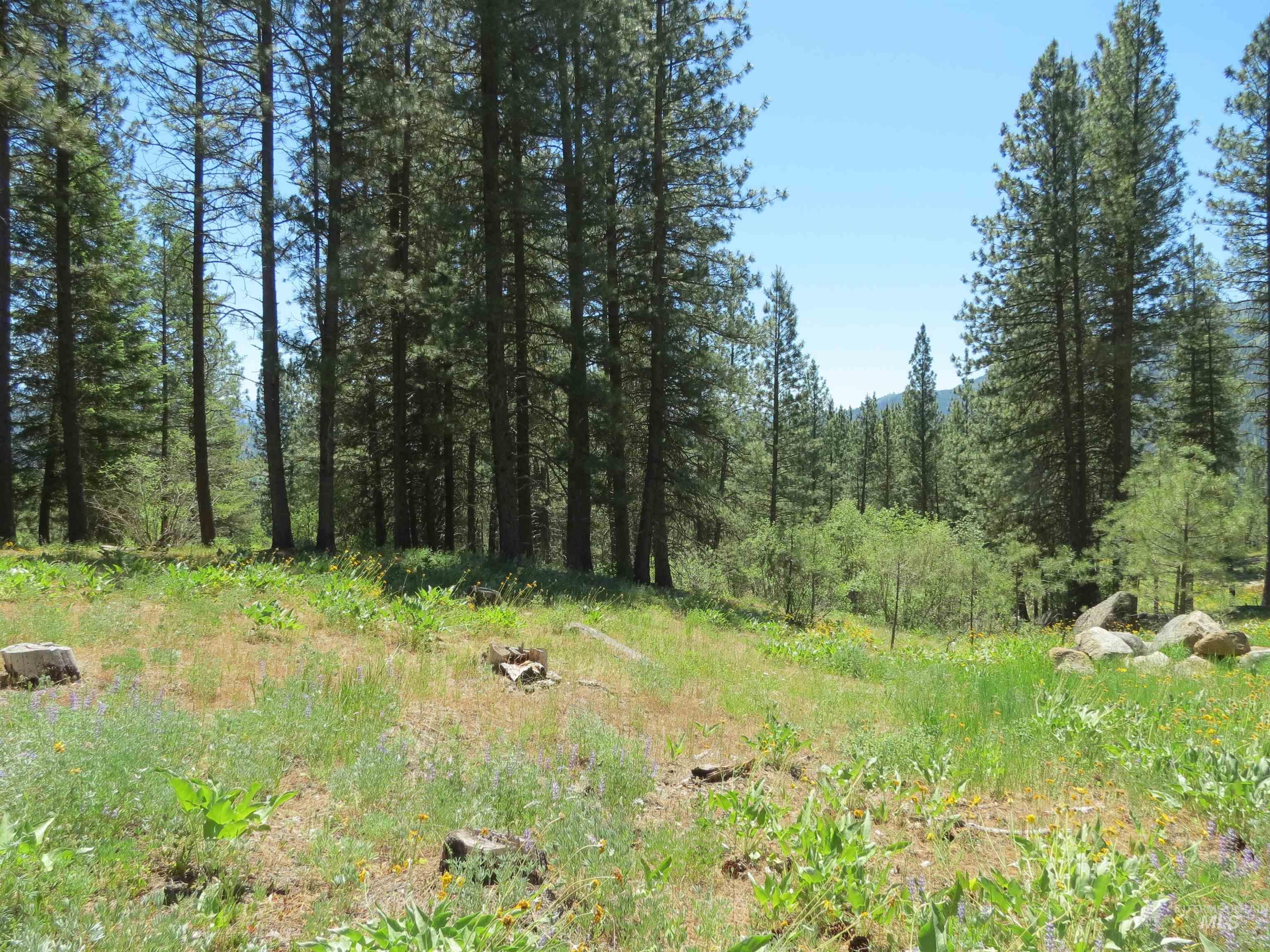 Lot 83 White Pine Dr Property Photo 2