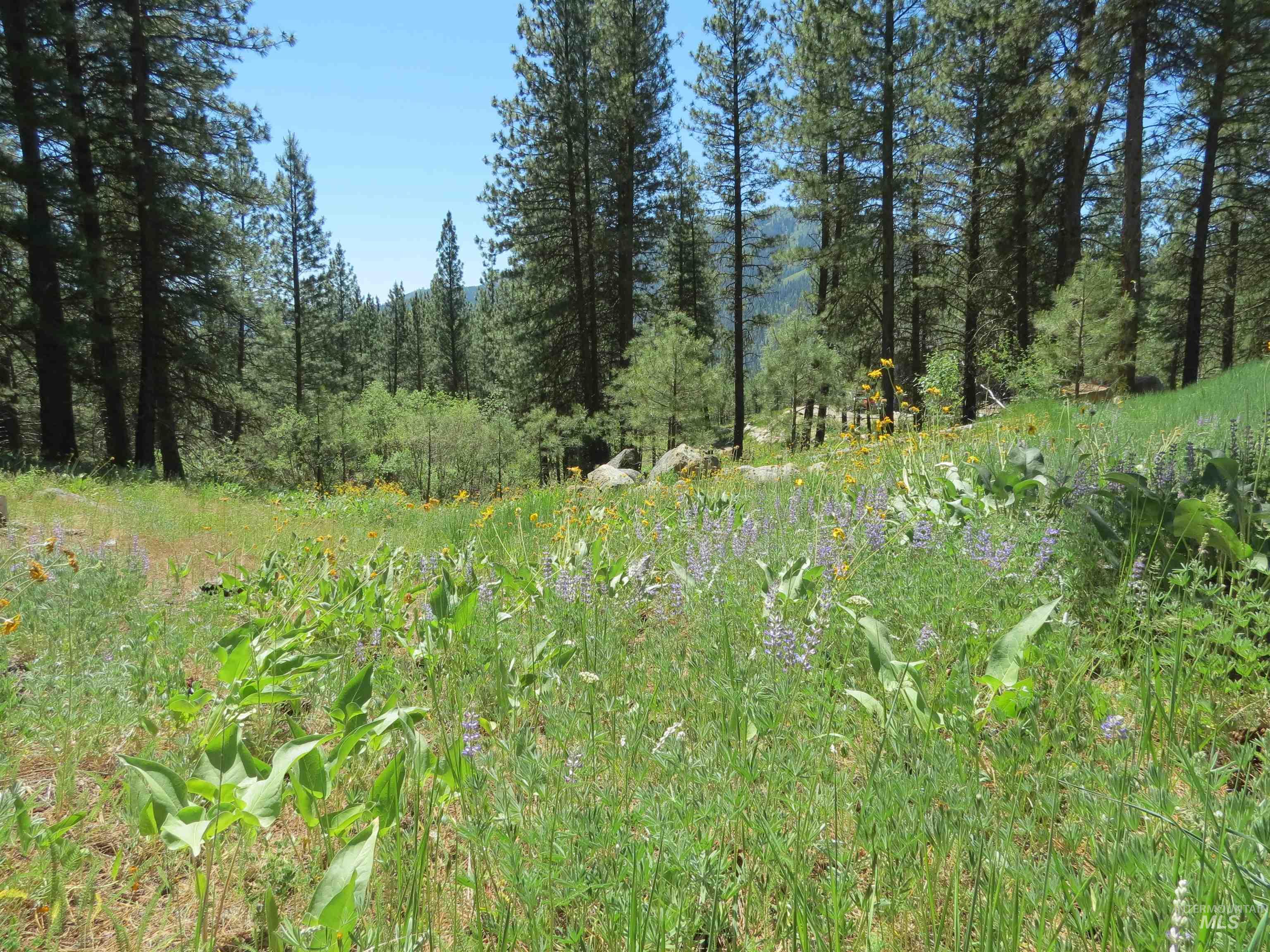 Lot 83 White Pine Dr Property Photo 3