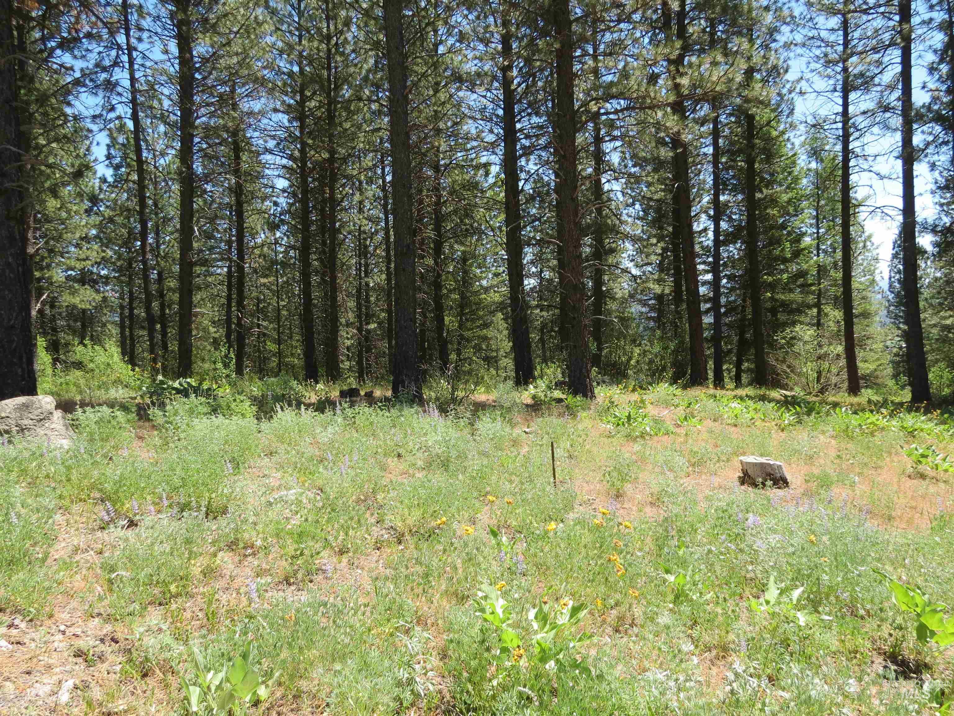 Lot 83 White Pine Dr Property Photo 4