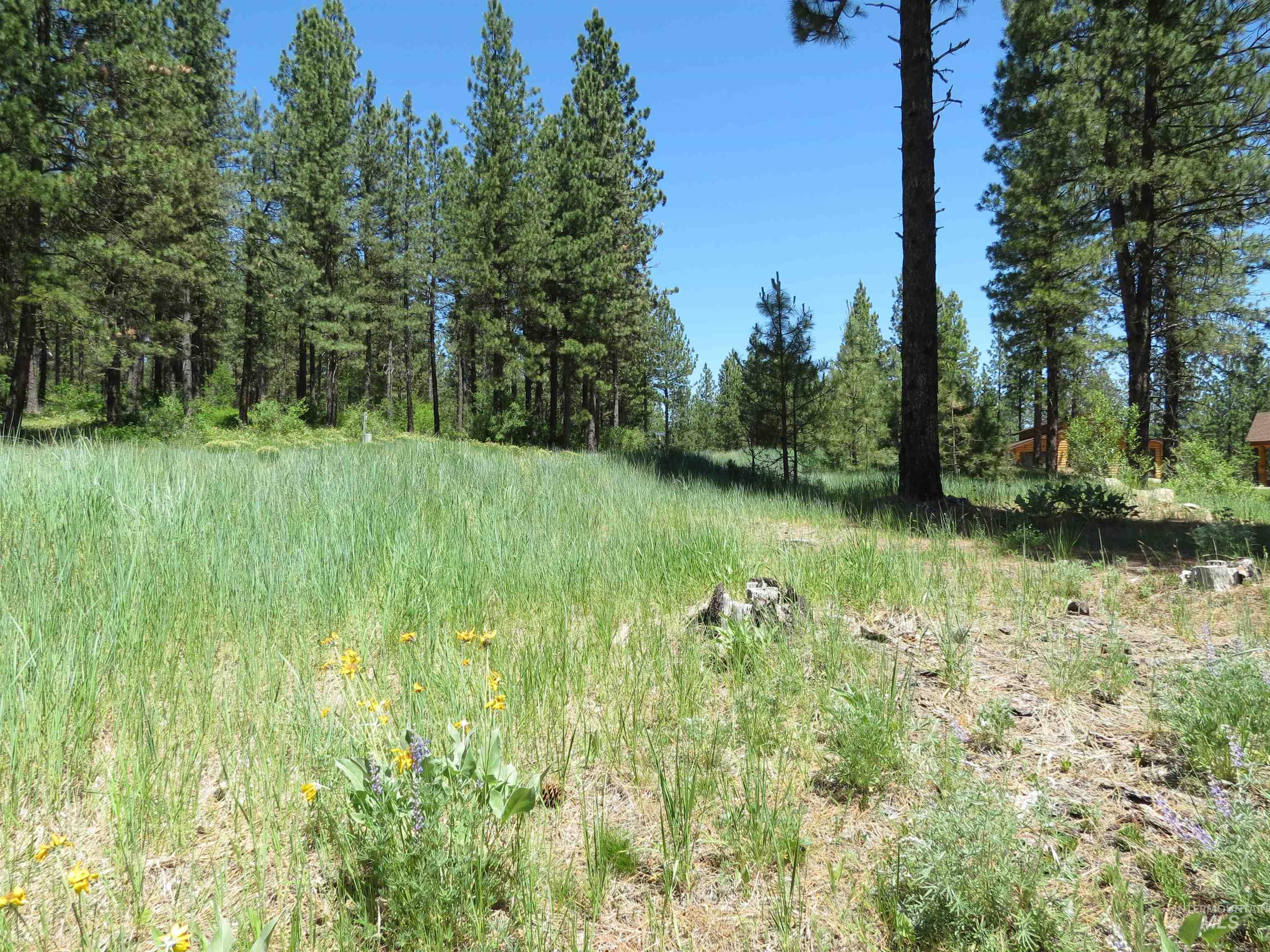 Lot 83 White Pine Dr Property Photo 5