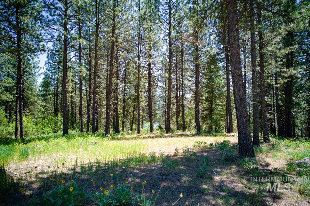 Lot 83 White Pine Dr Property Photo 13
