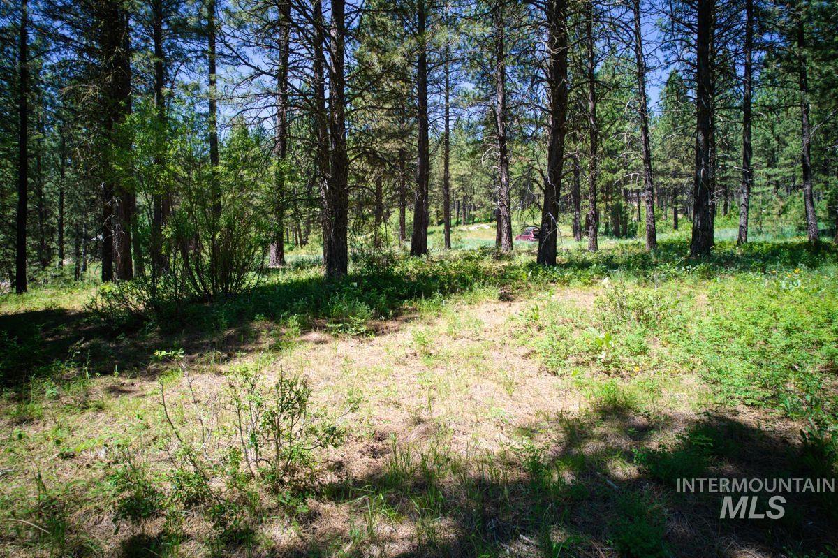 Lot 83 White Pine Dr Property Photo 15