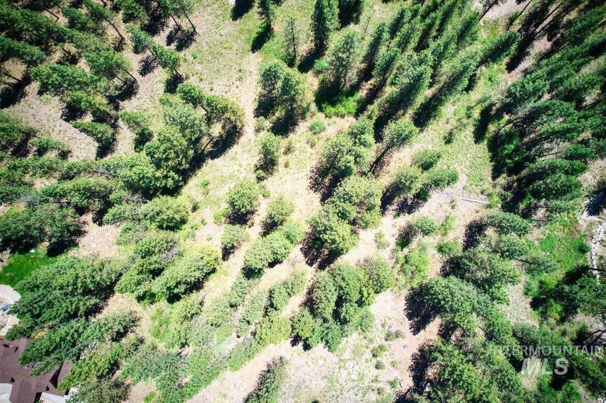 Lot 83 White Pine Dr Property Photo 20