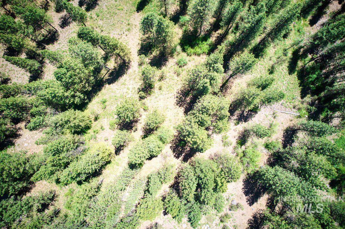 Lot 83 White Pine Dr Property Photo 21