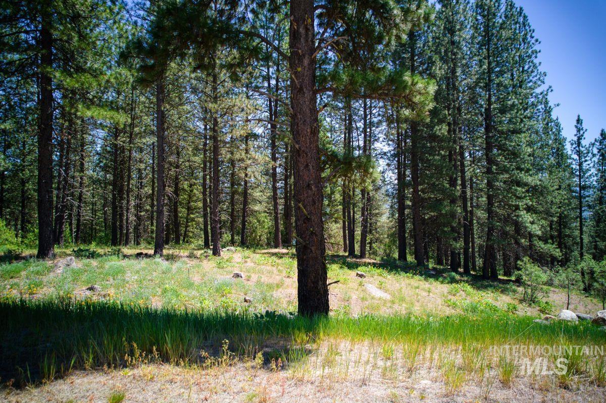 Lot 83 White Pine Dr Property Photo 31