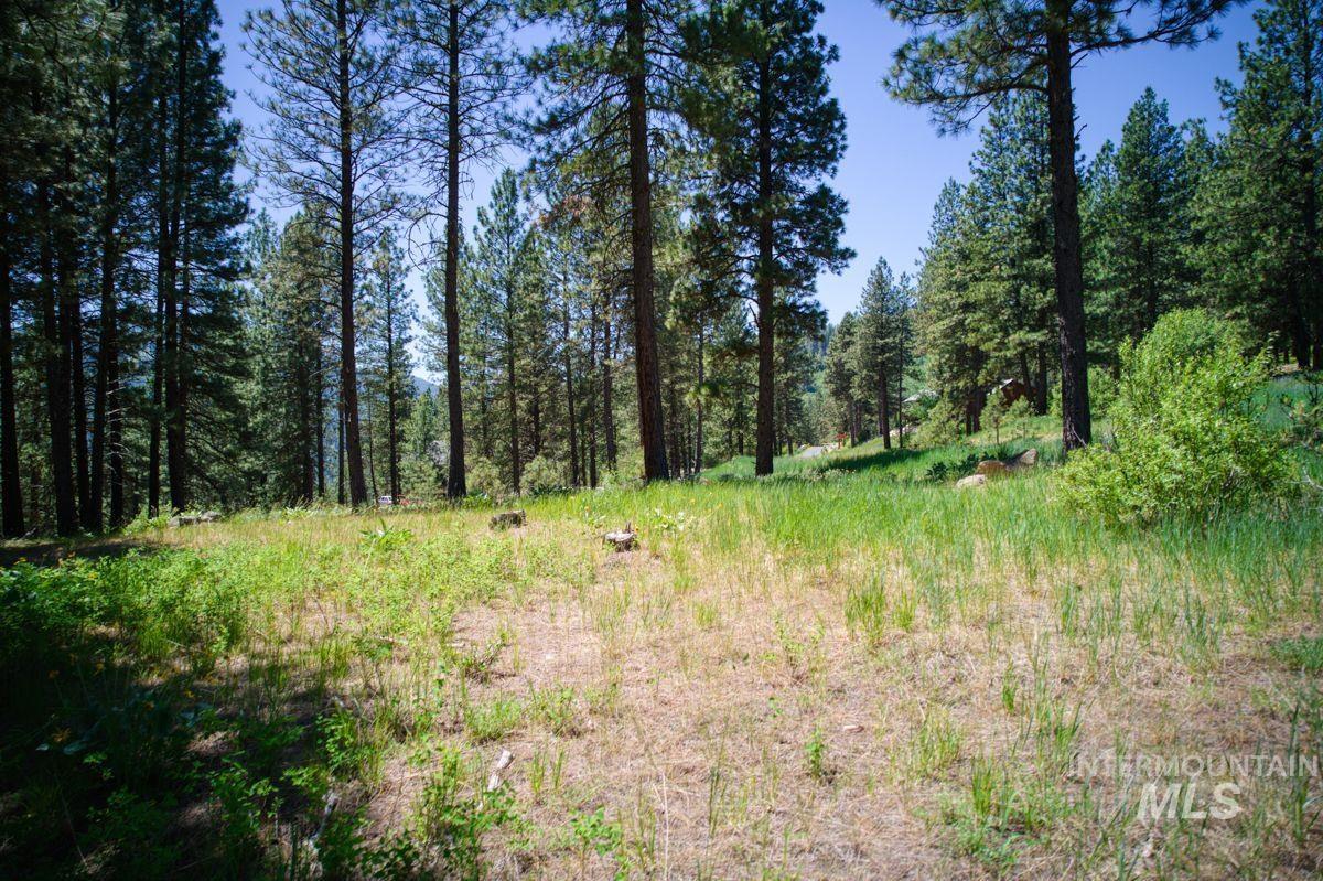 Lot 83 White Pine Dr Property Photo 32