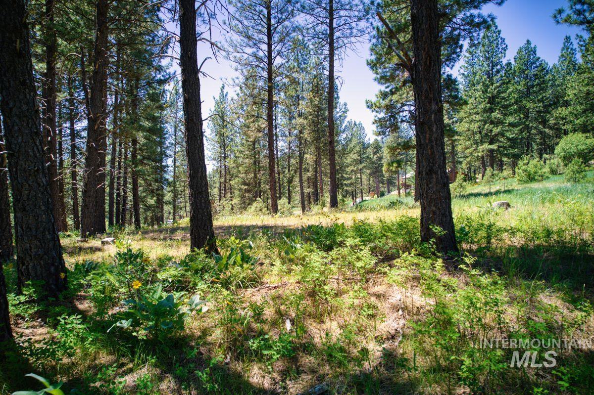 Lot 83 White Pine Dr Property Photo 34