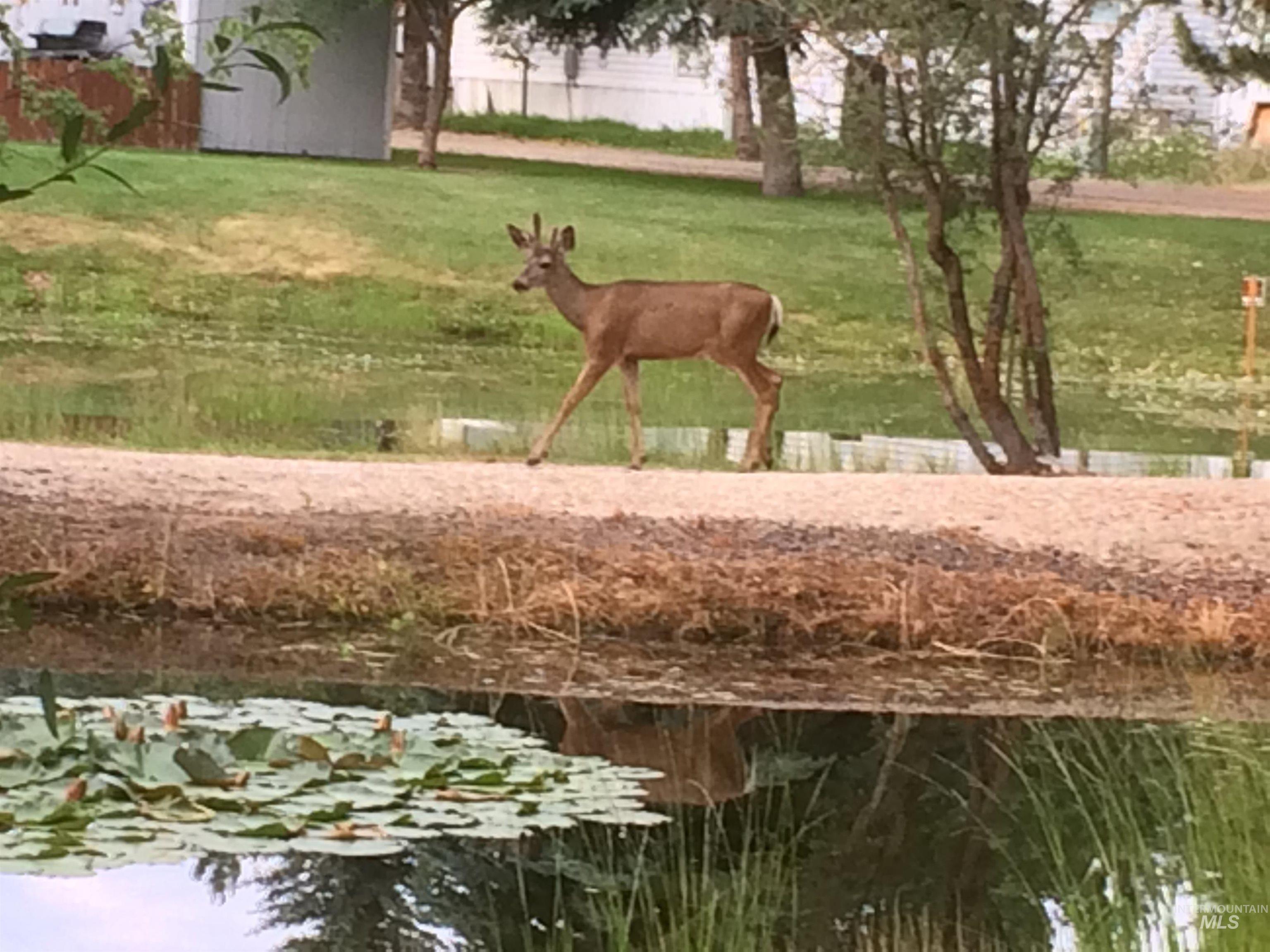 514 E13 Sawyer St Property Photo 25