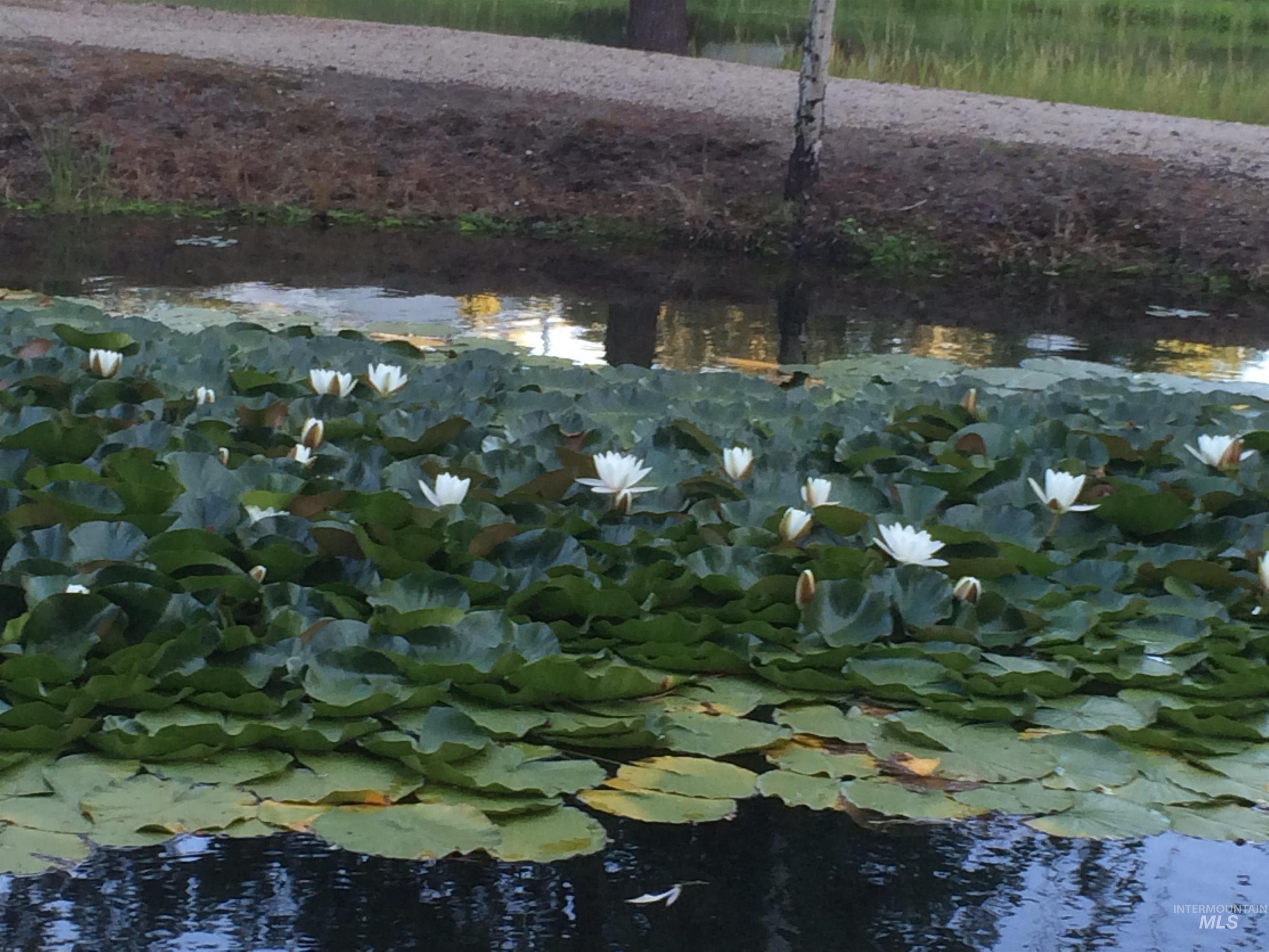 514 E13 Sawyer St Property Photo 30