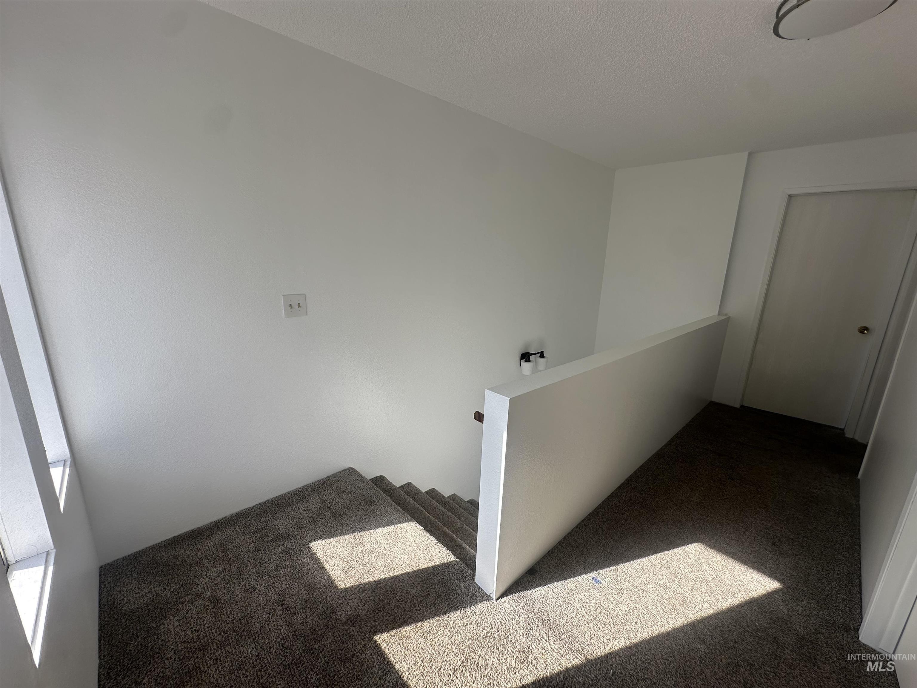 557 Park Street Property Photo 16