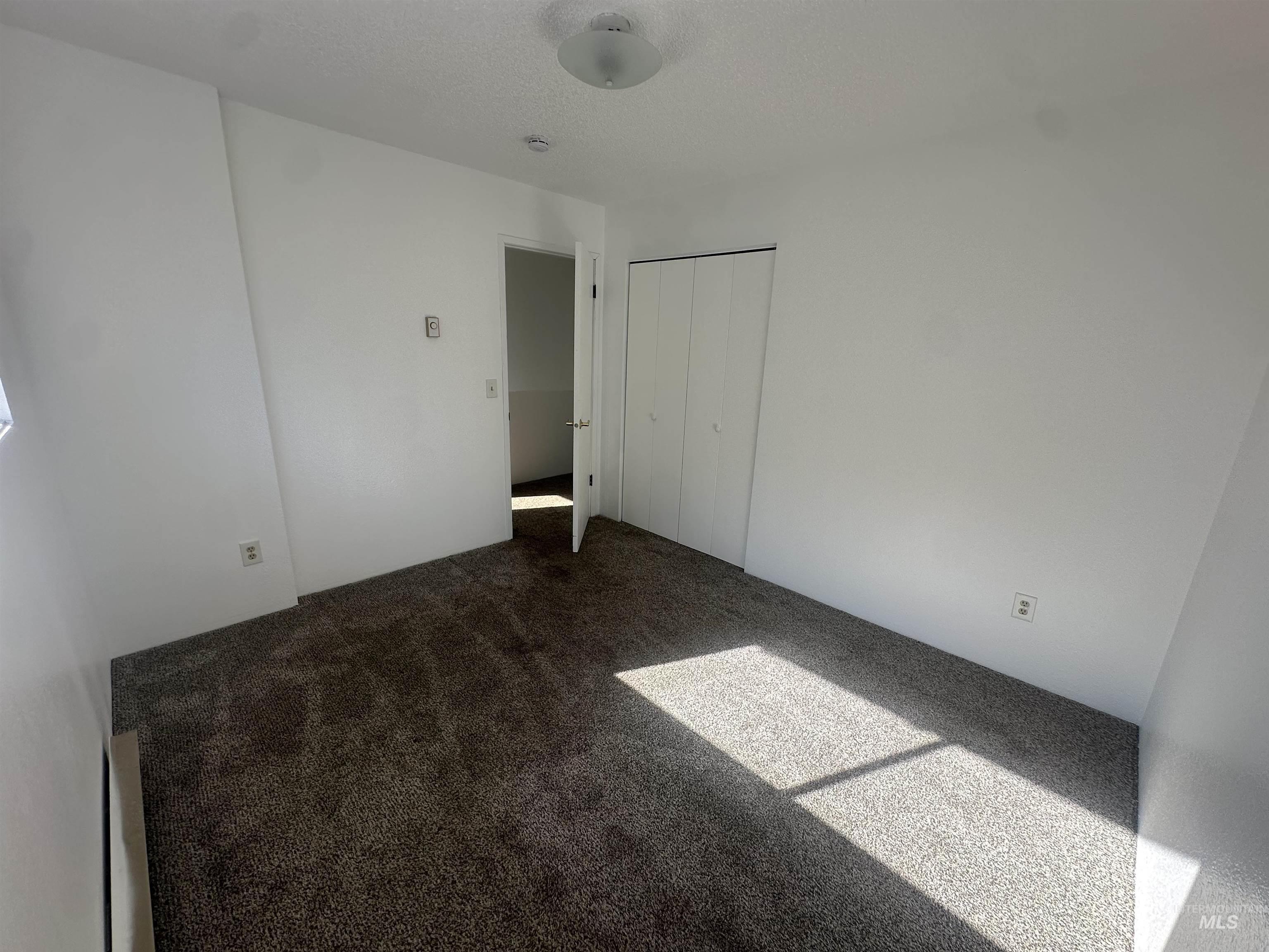 557 Park Street Property Photo 23