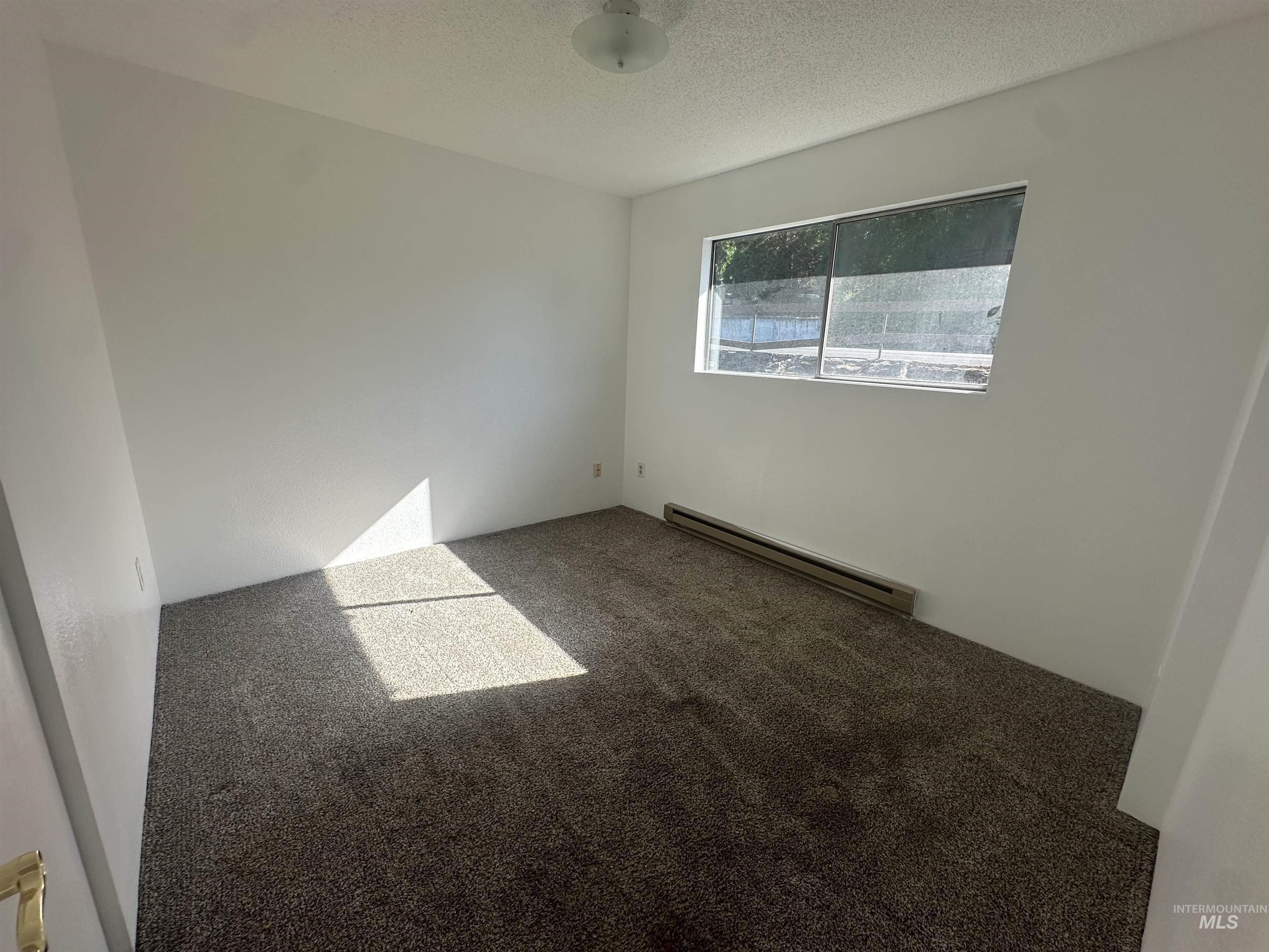 557 Park Street Property Photo 24