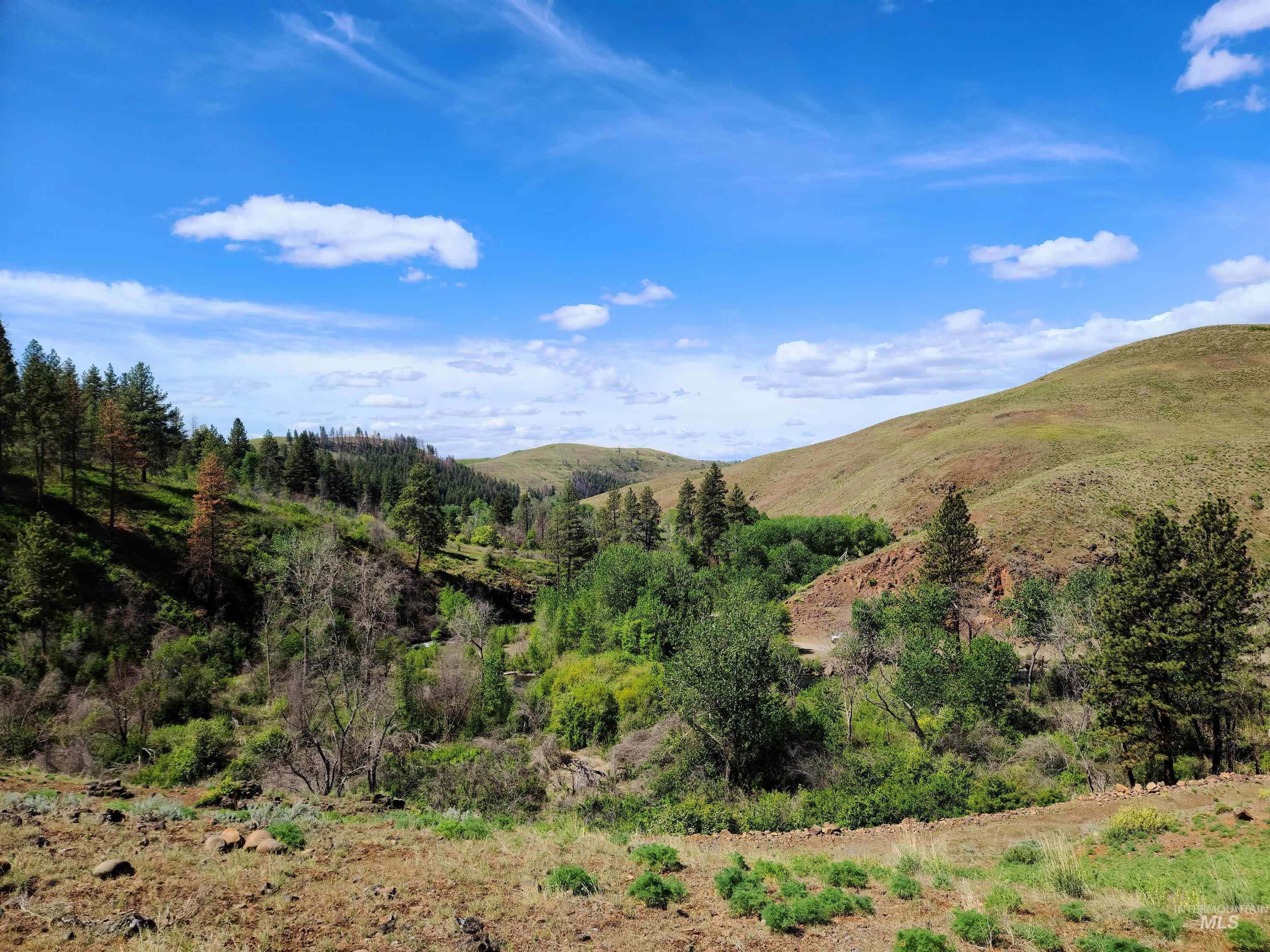 Lot 5 Middle Fork Rd Property Photo 8