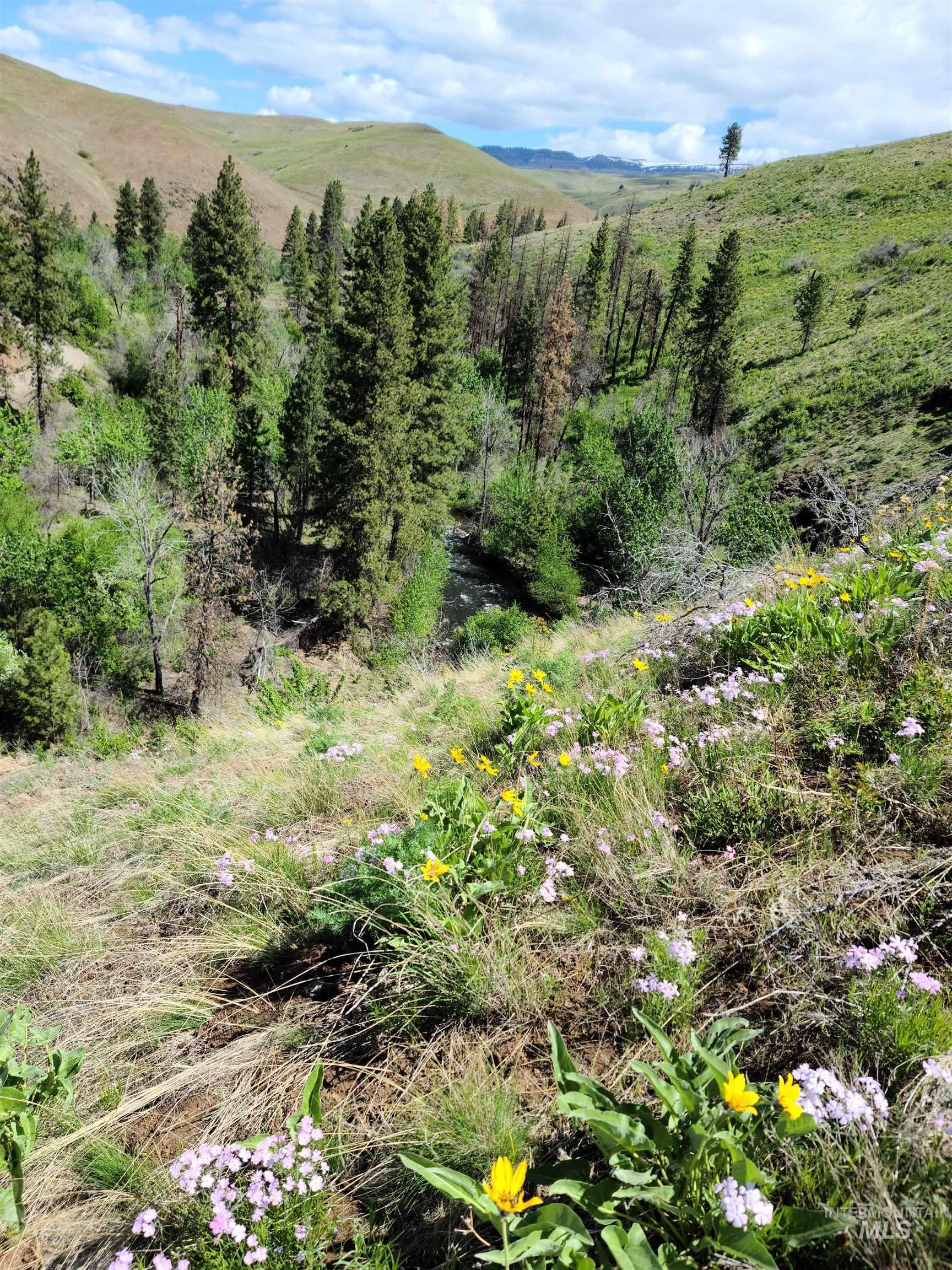 Lot 5 Middle Fork Rd Property Photo 11