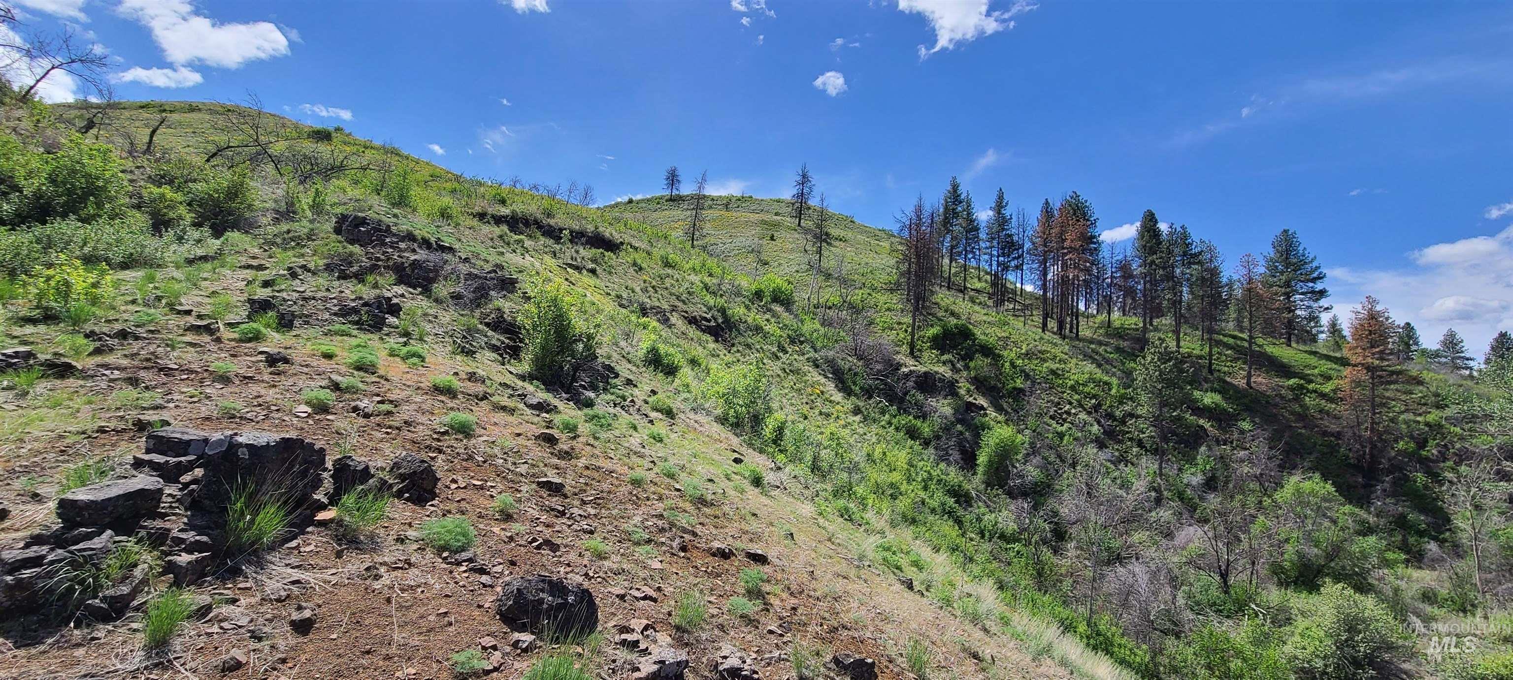 Lot 5 Middle Fork Rd Property Photo 12