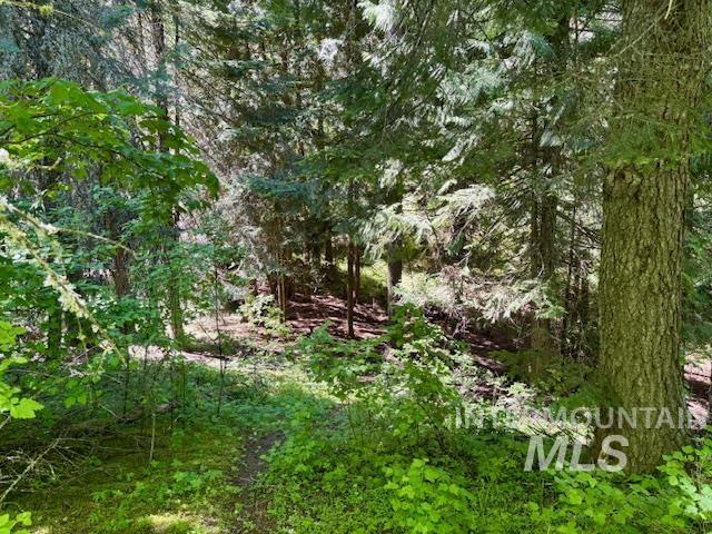 1418 Four Mile Rd Property Photo 43