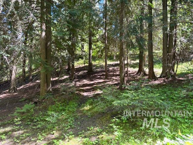 1418 Four Mile Rd Property Photo 45