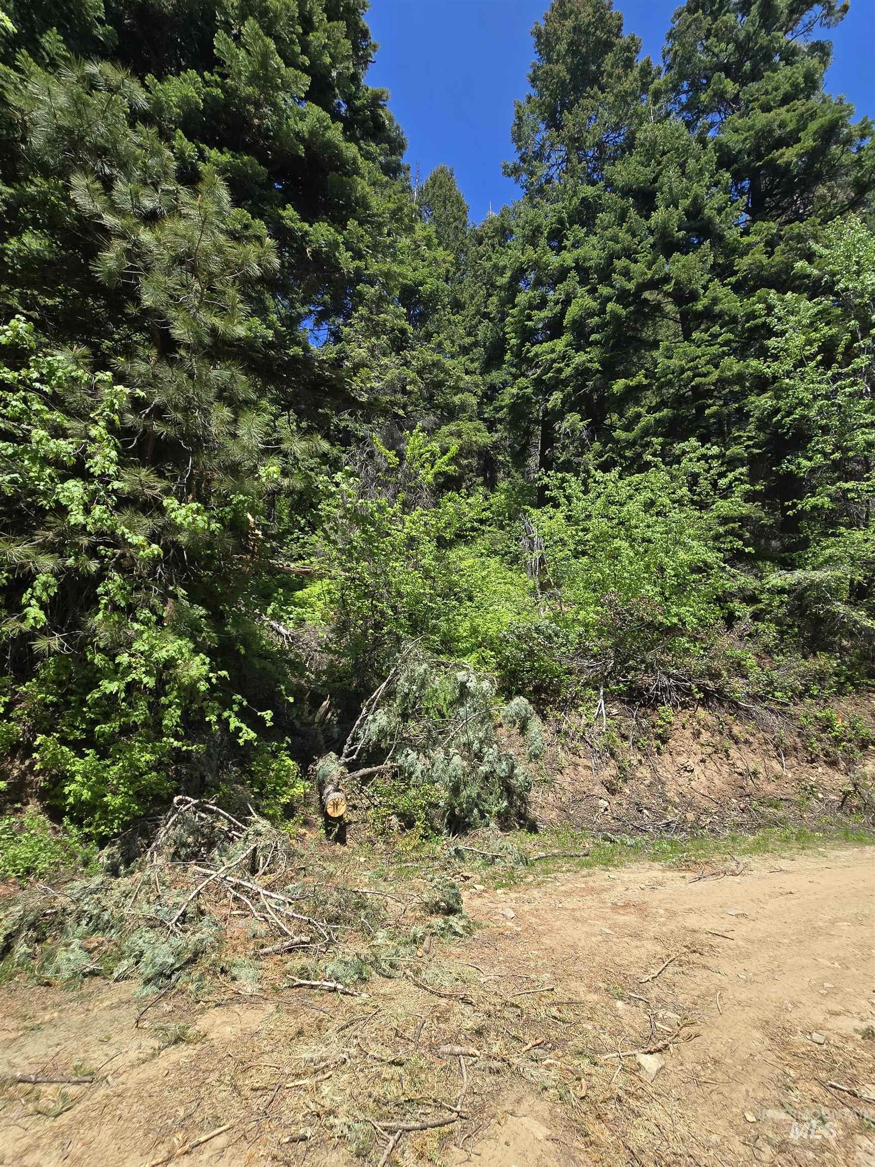 74 Burnt Wagon Trail Property Photo 2