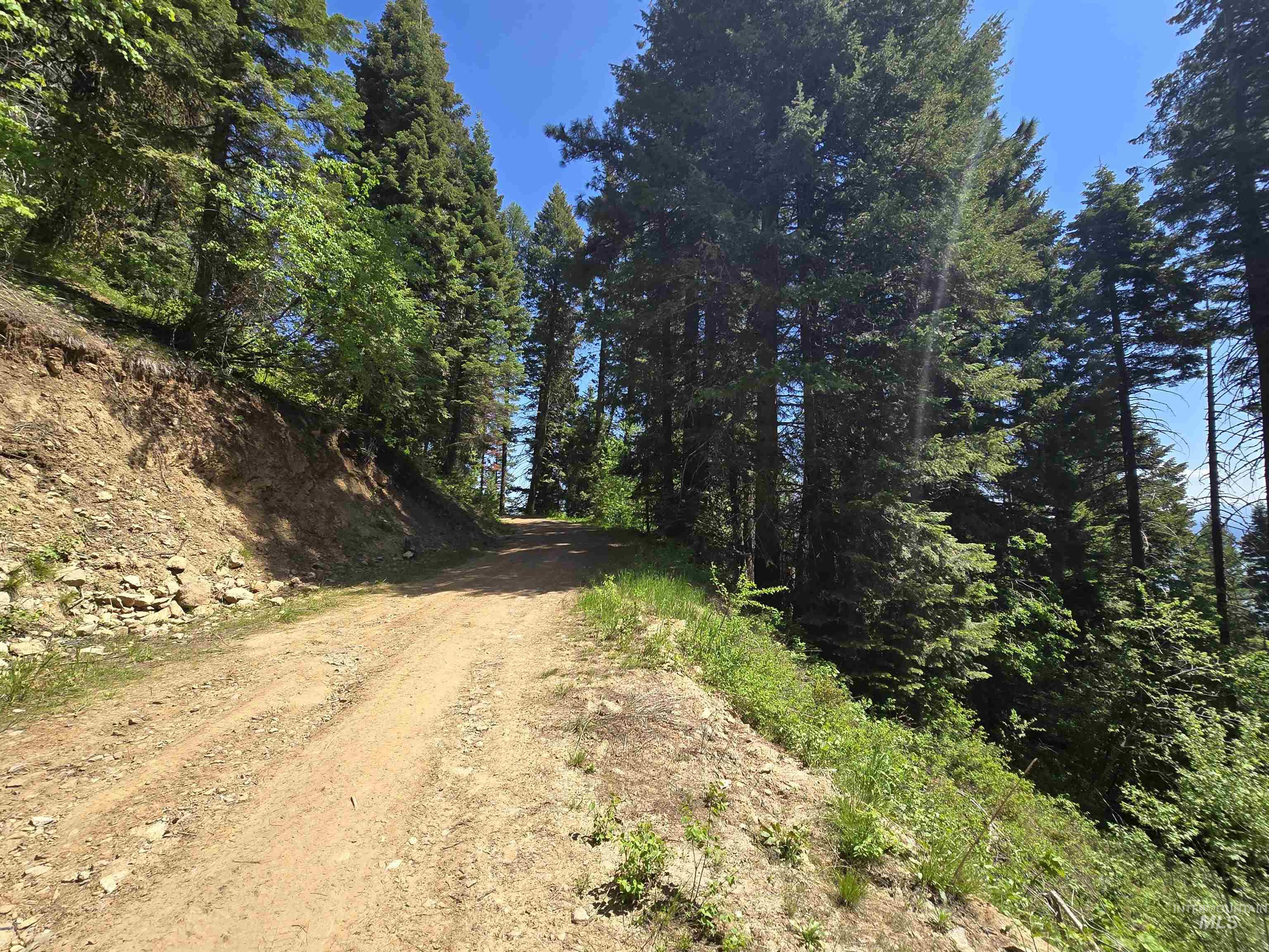 74 Burnt Wagon Trail Property Photo 3