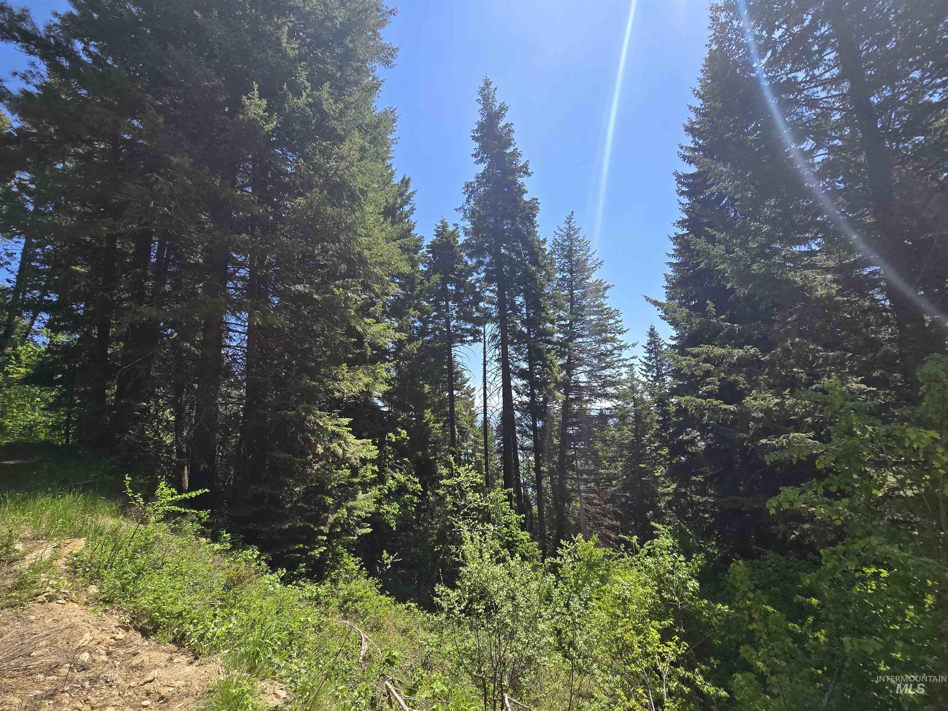 74 Burnt Wagon Trail Property Photo 4