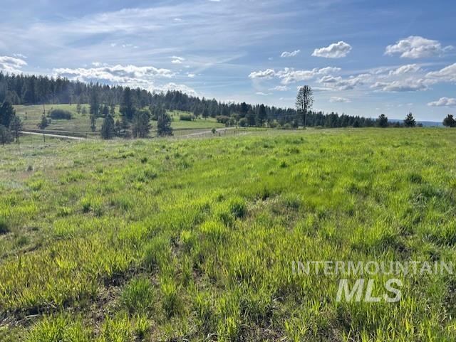 1621 Doumecq Rd Property Photo 36
