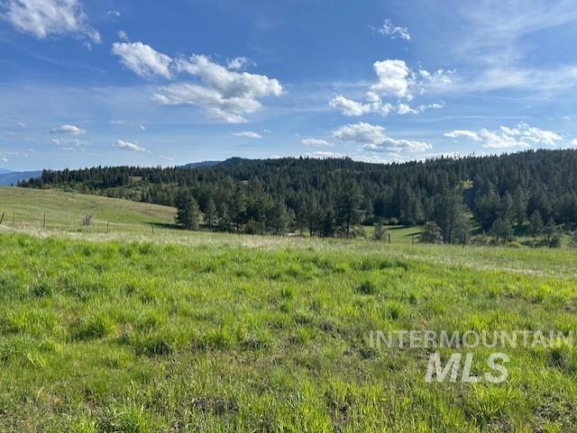 1621 Doumecq Rd Property Photo 37