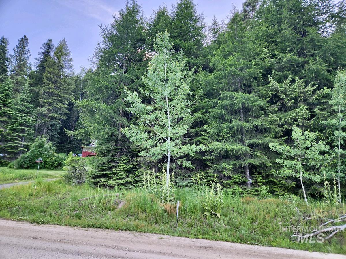 1457 West Mountain Road Property Photo 1