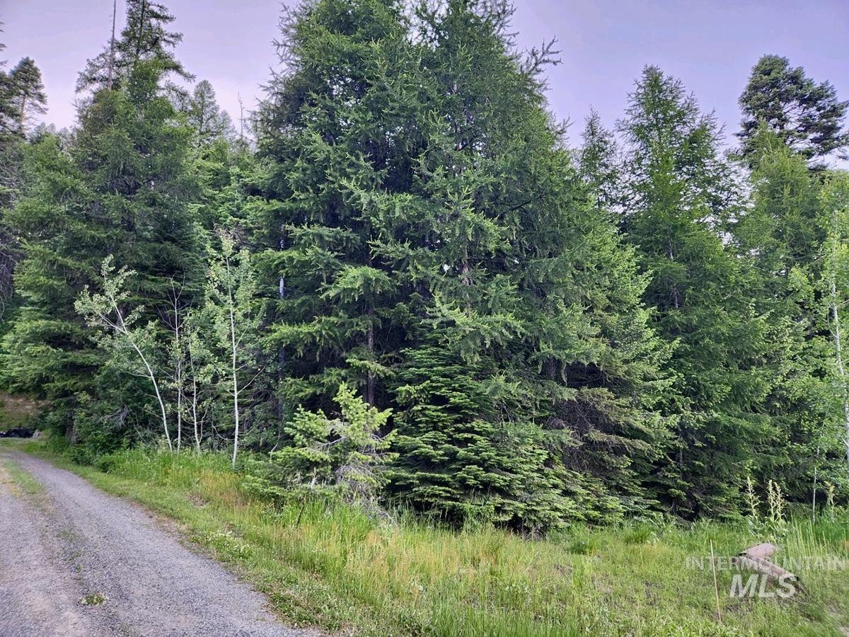 1457 West Mountain Road Property Photo 3