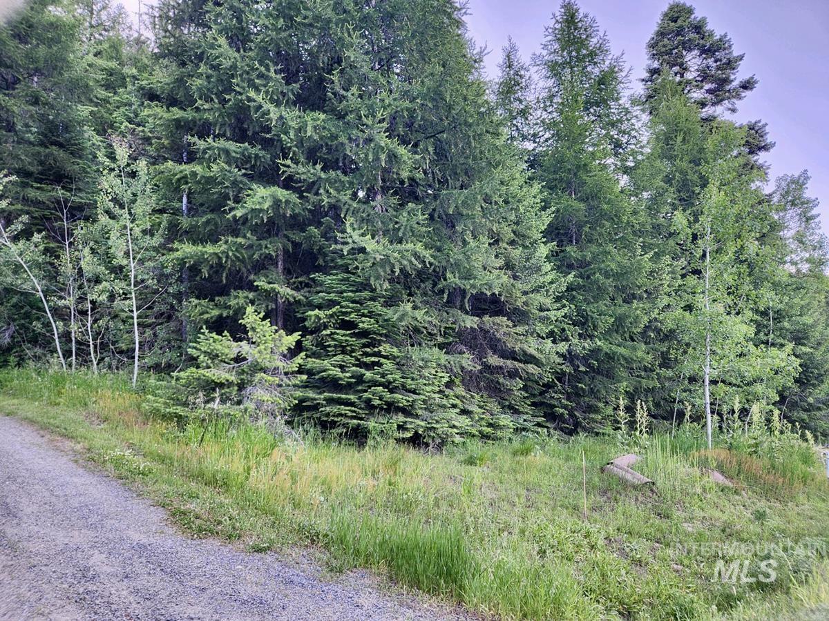1457 West Mountain Road Property Photo 4