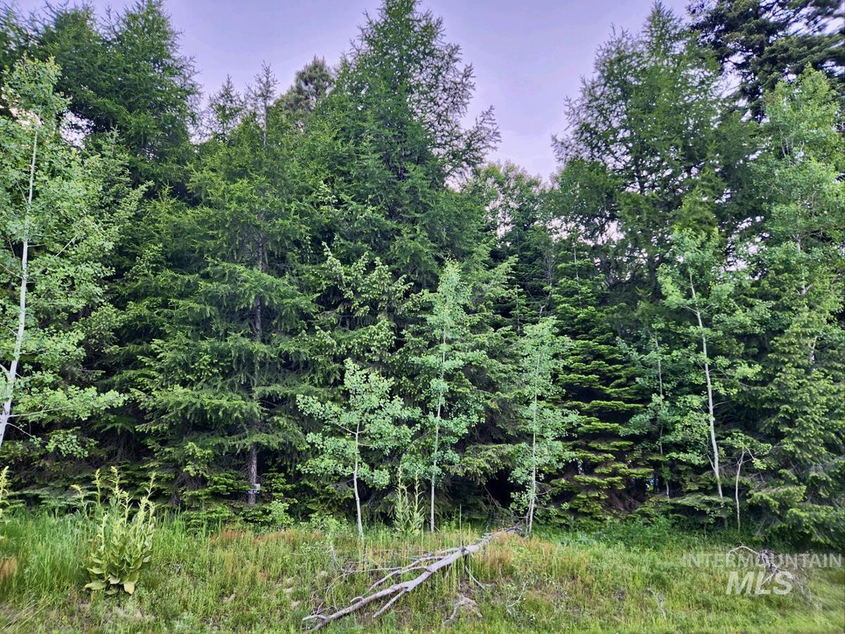 1457 West Mountain Road Property Photo 5