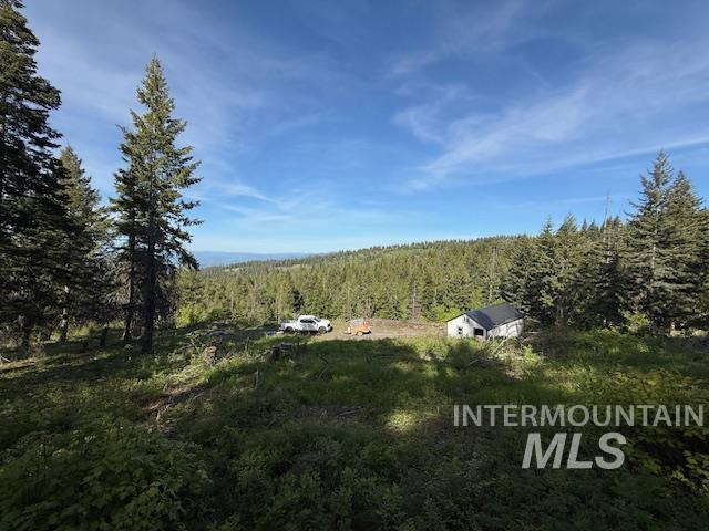 Tbd Grangeville Salmon Rd Property Photo 13