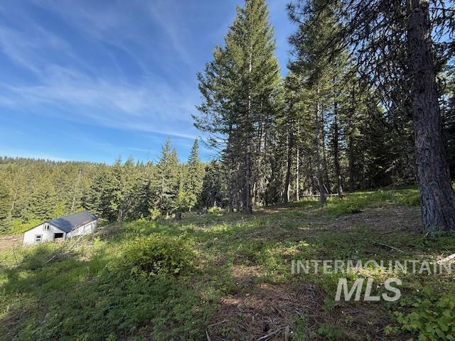 Tbd Grangeville Salmon Rd Property Photo 15