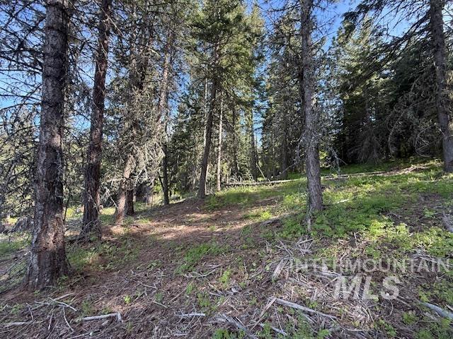 Tbd Grangeville Salmon Rd Property Photo 28