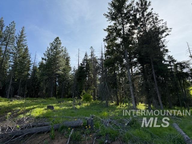 Tbd Grangeville Salmon Rd Property Photo 31