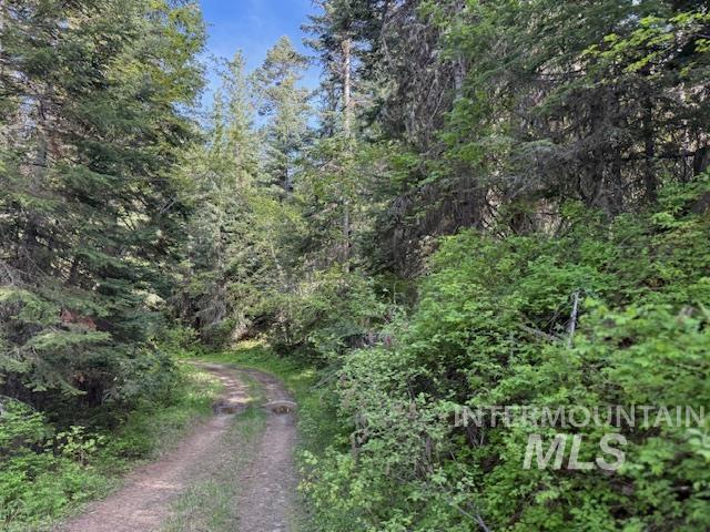 Tbd Grangeville Salmon Rd Property Photo 32