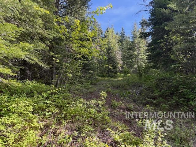 Tbd Grangeville Salmon Rd Property Photo 36