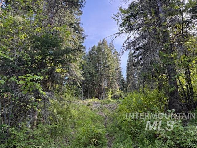 Tbd Grangeville Salmon Rd Property Photo 37