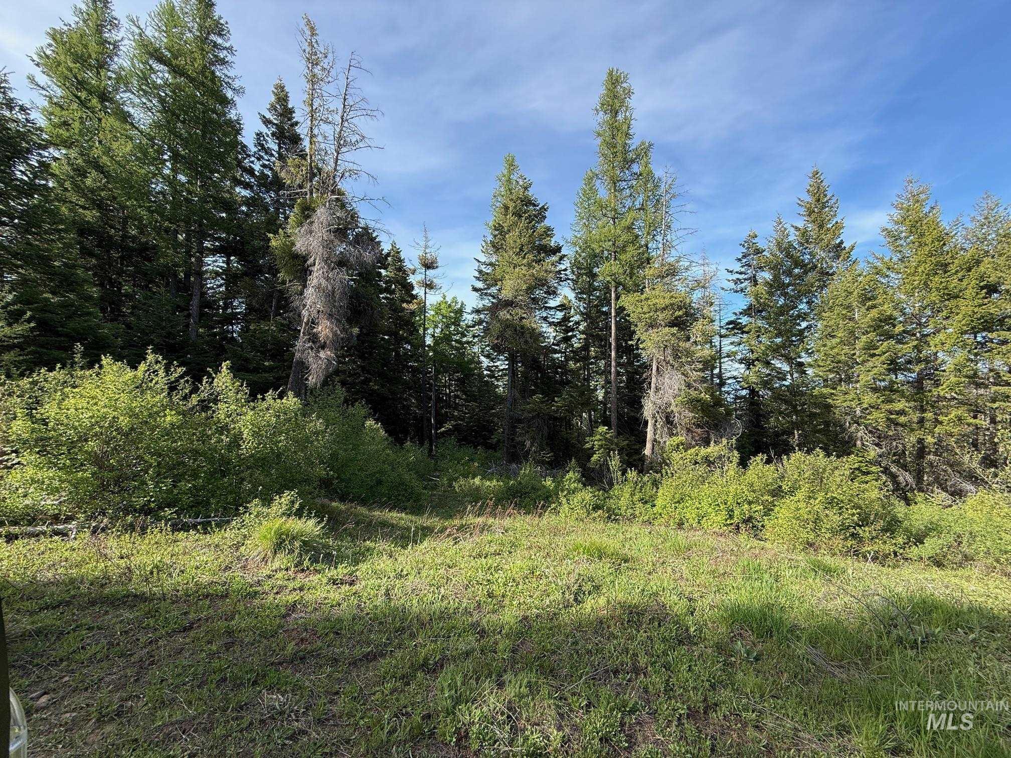 Tbd Grangeville Salmon Rd Property Photo 40